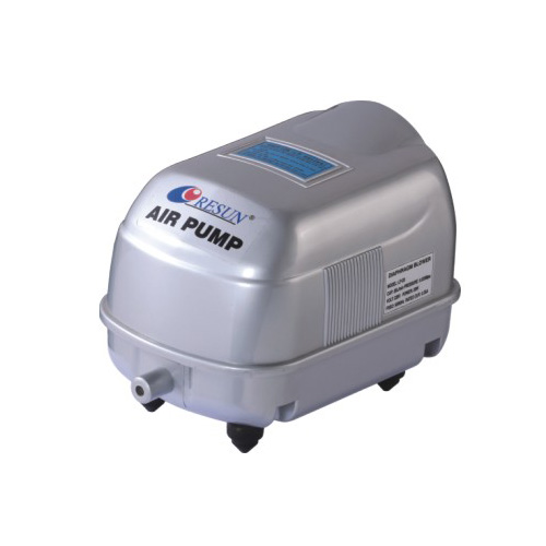 ǿãϿǣ LP-20.jpg